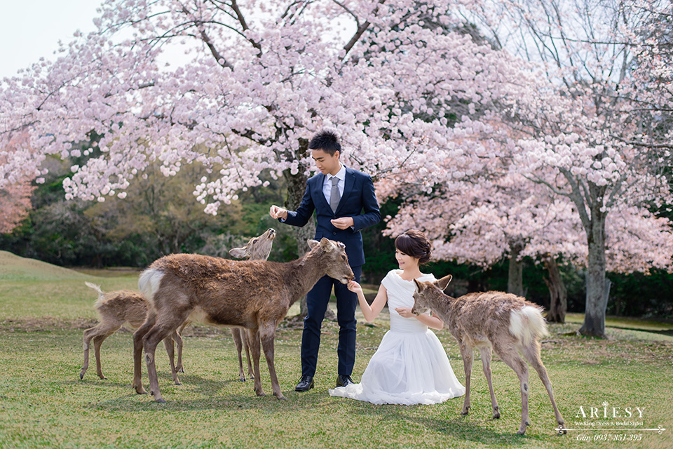 海外自助婚紗,京都婚紗包套,新娘秘書,攝影師大青蛙, 京都和服