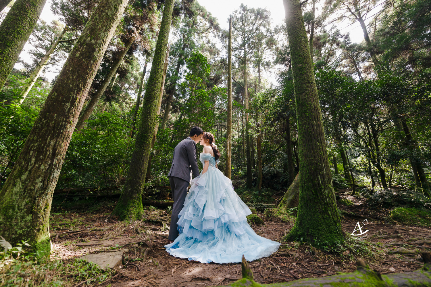 婚紗包套,婚紗造型,編髮造型,婚攝大嘴,新祕Hanya,陽明山黑森林,新娘造型,AriesyWedding